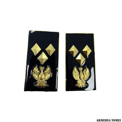 GRADO - POLIZIA DI STATO - COPPIA GRADI METALLO SOVRINTENDENTE CAPO