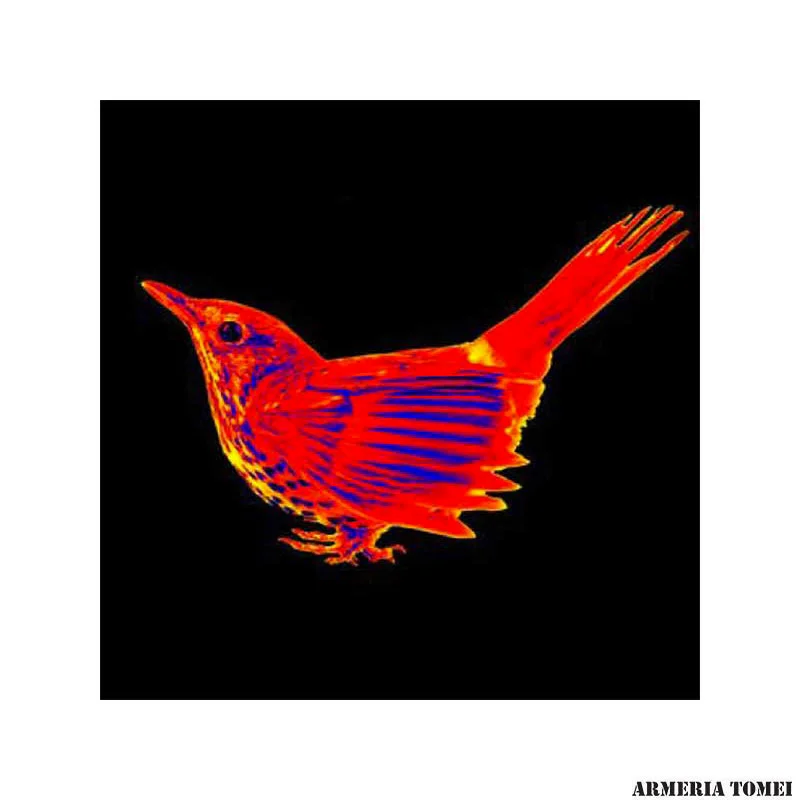 VISORE TERMICO - KONUS - FLAME 1,5x-3x - immagine 3