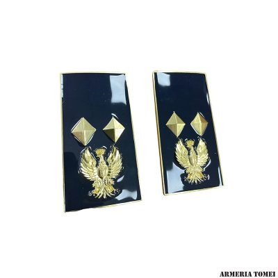 GRADO - POLIZIA DI STATO - COPPIA GRADI METALLO SOVRINTENDENTE