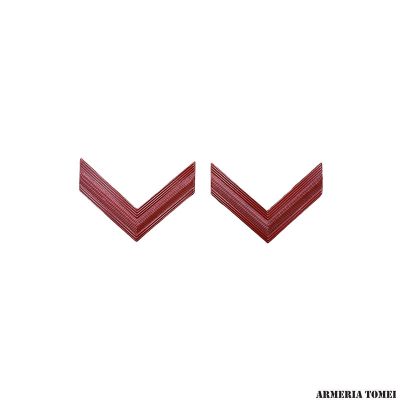 GRADI IN METALLO FINANZIERE E CARABINIERE SCELTO (COPPIA)