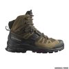 SALOMON - UOMO - QUEST 4 GTX Desert Palm / Black / Kelp