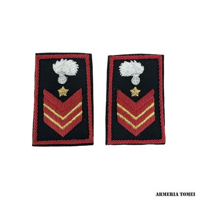 CARABINIERI - TUBOLARI APPUNTATO SCELTO QUALIFICA SPECIALE RICAMATI IN CANOTTIGLIA (MAGLIONE/GIACCA)