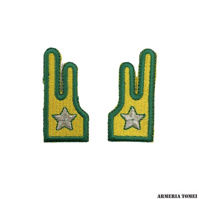 GUARDIA DI FINANZA - COPPIA MOSTRINE CON VELCRO RICAMATE