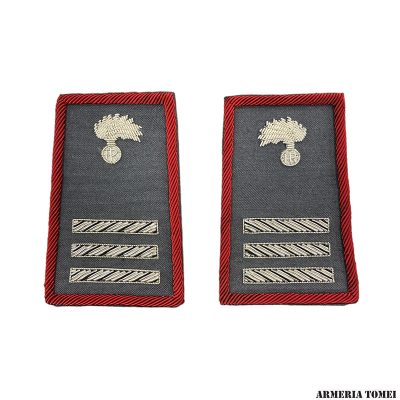 CARABINIERI - COPPIA TUBOLARI MARESCIALLO CAPO RICAMATI IN CANOTTIGLIA