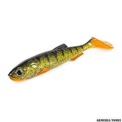 MOLIX - RT SHAD 7" 18cm Perch