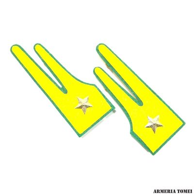 GUARDIA DI FINANZA - FIAMME IN PANNO CON STELLE