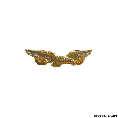 BREVETTO PILOTA AEREO CIVILE -GRANDE