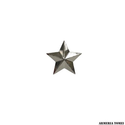 STELLE GRANDI DA CAPPOTTO (COPPIA)