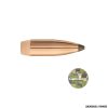 PALLE - SIERRA - .22 CAL 65 GR. SBT GAMEKING (100PZ)