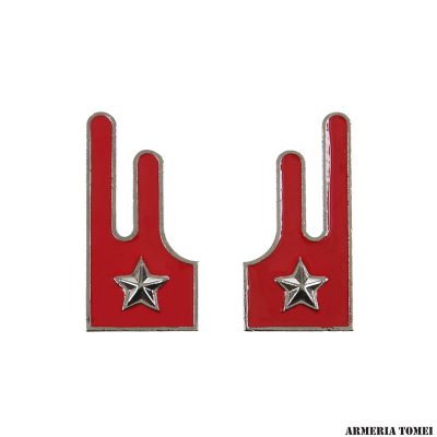 ESERCITO - COPPIA MOSTRINE FANTERIA