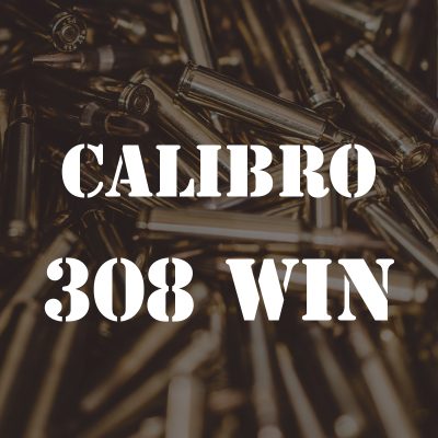 Calibro 308 win