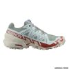 SALOMON - DONNA - SPEEDCROSS 6 W Lily Pad / Rainy Day / Bleached Aqua