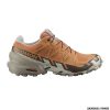 SALOMON - DONNA - SPEEDCROSS 6 GTX W Coral Gold / Vintage Khaki / Rainy Day