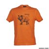 T-SHIRT - UNIVERS - CINGHIALE Arancione
