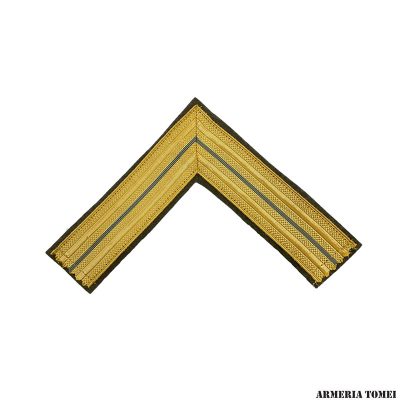 ESERCITO - GRADO CAPPELLO ALPINO TENENTE