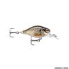 RAPALA - X-LIGHT CRANK 03 MID RUNNER FNCM-3 3.5cm 1-1/4" | 4g 1/8 oz. Live Roach
