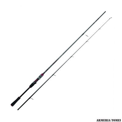 DAIWA - NINJA EVOLUTION 842HFS 2.54m | 2pcs | 131cm | 15-50g