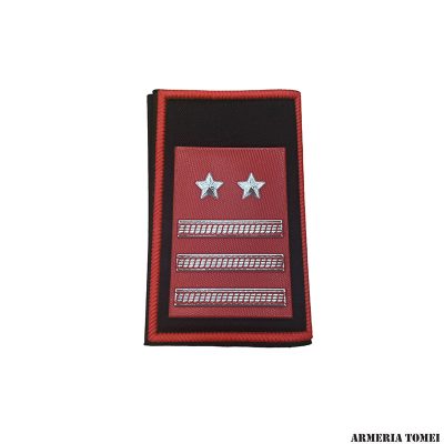 CARABINIERI - COPPIA TUBOLARI LUOGOTENENTE CARICA SPECIALE