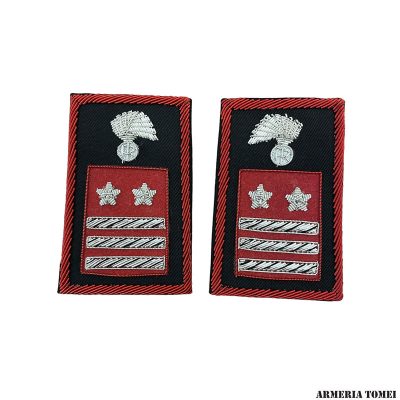 CARABINIERI - COPPIA TUBOLARI LUOGOTENENTE QUALIFICA SPECIALE  RICAMATI IN CANOTTIGLIA
