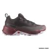 SALOMON - DONNA - CROSS HIKE 2 GTX Shale / Wild Ginger / Cradle Pink