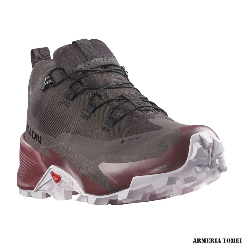 SALOMON - DONNA - CROSS HIKE 2 GTX Shale / Wild Ginger / Cradle Pink - immagine 2
