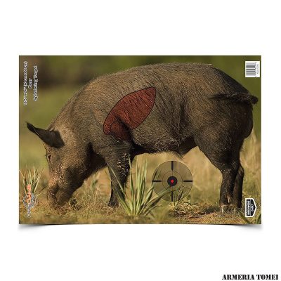 BIRCHWOOD - BERSAGLIO VISUALE CINGHIALE 40X60CM -3PZ