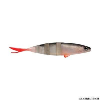 RAPTURE - LIVE ACTION LURES SWIMMY 150 15cm Roach (2pz)