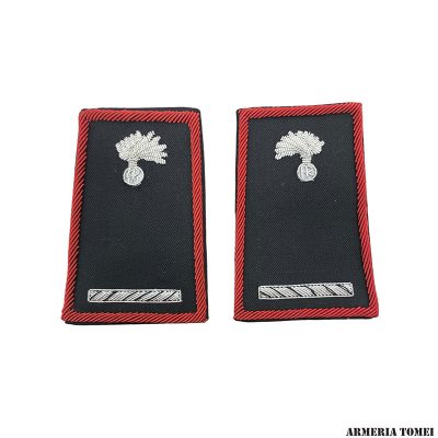 CARABINIERI - COPPIA TUBOLARI MARESCIALLO RICAMATI IN CANOTTIGLIA