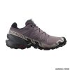 SALOMON - DONNA - SPEEDCROSS 6 W Moonscape / Black / Ashes