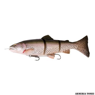 SAVAGE GEAR - 3D LINE THRU TROUT 30cm - 12" 290g - 10 1/4 oz SLOW SINK 01 Rainbow