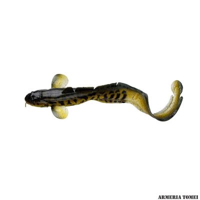 SAVAGE GEAR - 3D BURBOT 250 25cm 75g Fast Sinking 01-Burbot