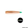 PALLE - SIERRA - 7MM .284 DIA. 165GR. TGK GAMECHANGER (100 PZ) -4565