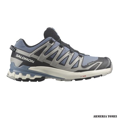 SALOMON - UOMO - XA PRO 3D V9 GTX Flint Stone / Black / Ghost Gray