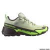 SALOMON - UOMO - CROSS HIKE 2 GTX Desert Sage / Green Gecko / Chocolate Plum