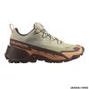 SALOMON - DONNA - CROSS HIKE 2 GTX Alfalfa / Cantaloupe / Bitter Chocolate