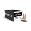 PALLE - NOSLER - RDF 338 Cal (.338") 300gr (19.4 grams) (100pz) -53445