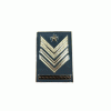 GUARDIA DI FINANZA - GRADI METALLO BRIGADIERE CAPO QUALIFICA SPECIALE (COPPIA)