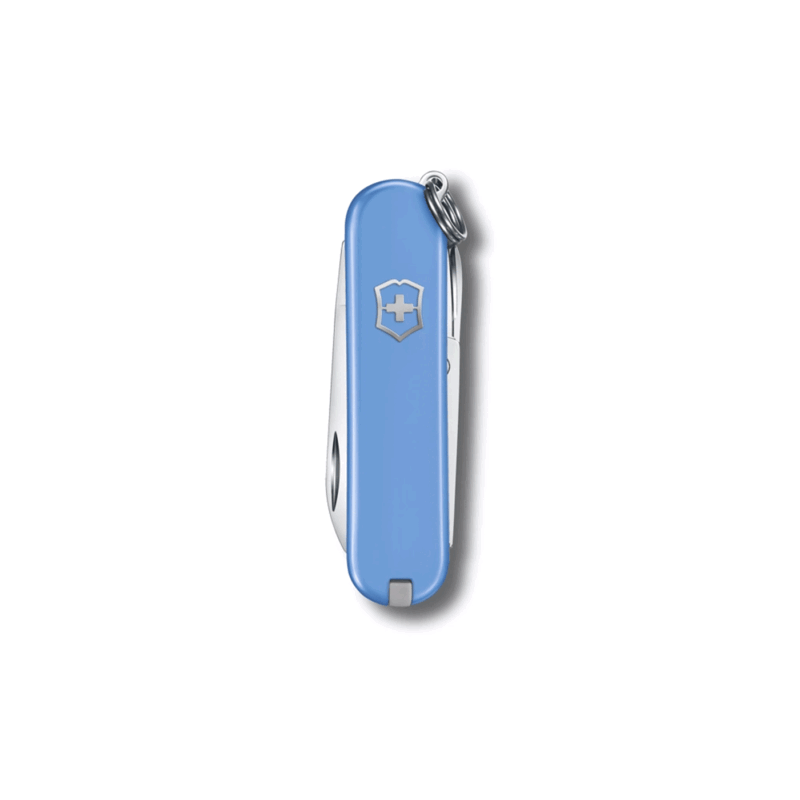 VICTORINOX - CLASSIC SD SUMMER RAIN - immagine 2