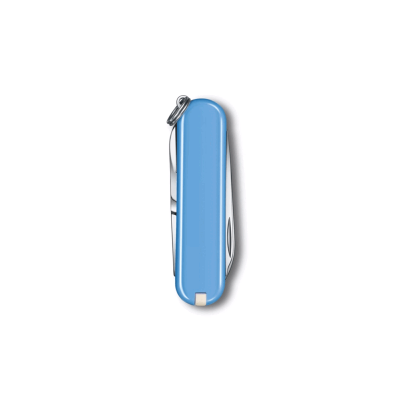VICTORINOX - CLASSIC SD SUMMER RAIN - immagine 3