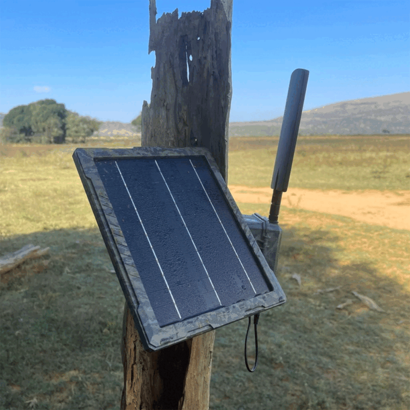 ICUSUN - PANNELLO SOLARE - immagine 5