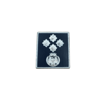 POLIZIA PENITENZIARIA - GRADO SCRATCH PRIMO DIRIGENTE (PLASTIFICATO)