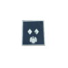 POLIZIA PENITENZIARIA - GRADO SCRATCH SOVRINTENDENTE (PLASTIFICATO)