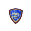PATCH POLIZIA POSTALE (CON VELCRO)