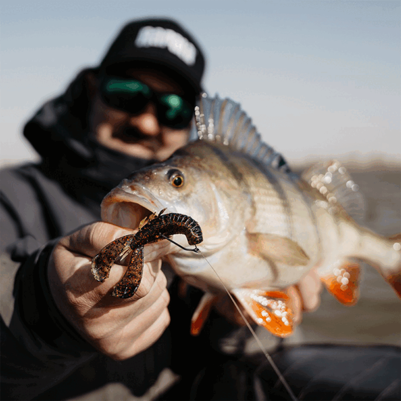 RAPALA - CRUSHCITY™ CUSTOMS "CLEANUP CRAW™" 3.5"/8.8cm | 7 pcs | California Craw - immagine 4