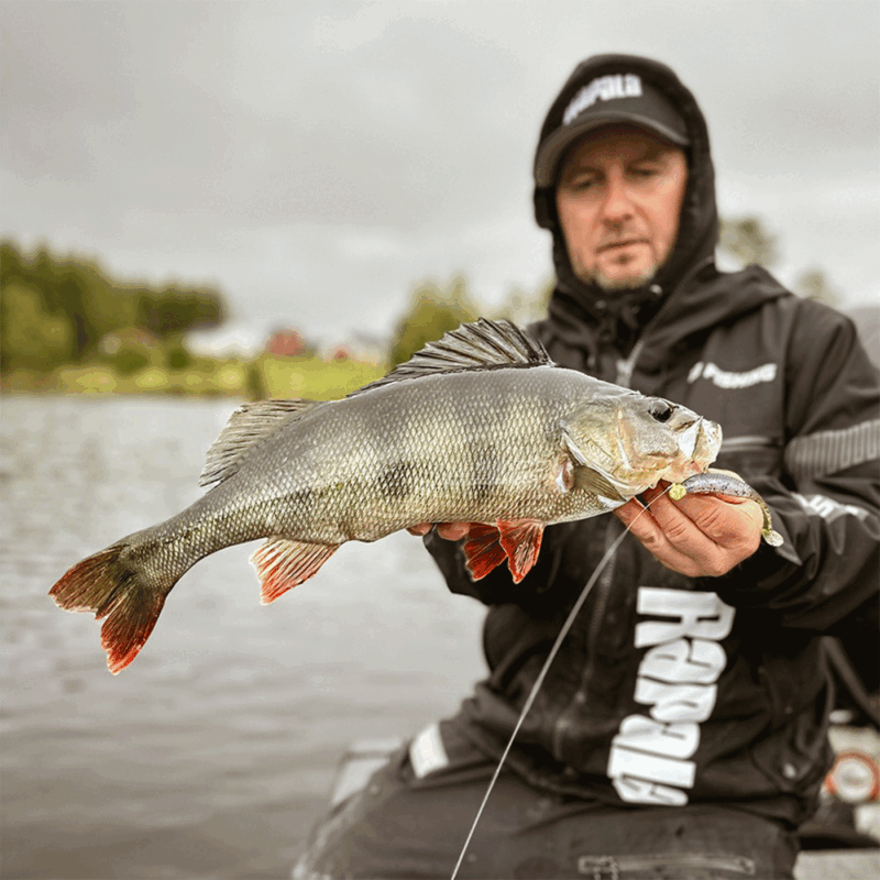 RAPALA - CRUSHCITY™ CUSTOMS "THE KICKMAN™" 3"/7.5cm | 9 pcs | Chart White Flash - immagine 5