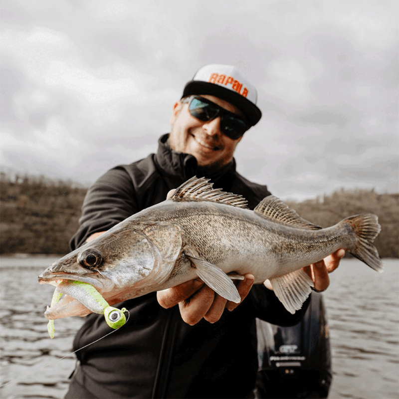 RAPALA - CRUSHCITY™ CUSTOMS "THE KICKMAN™" 3"/7.5cm | 9 pcs | Chart White Flash - immagine 6