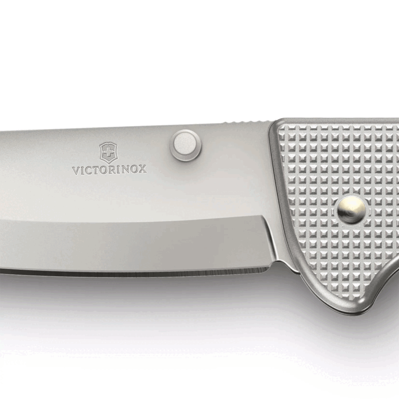 VICTORINOX - EVOKE ALOX SILVER - immagine 4