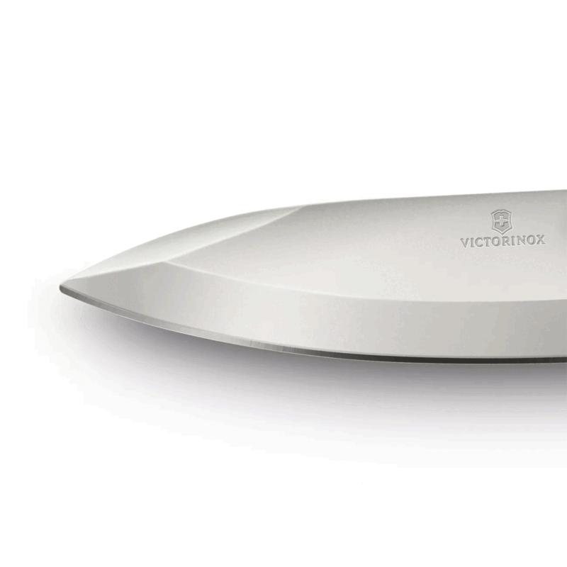 VICTORINOX - EVOKE ALOX SILVER - immagine 5