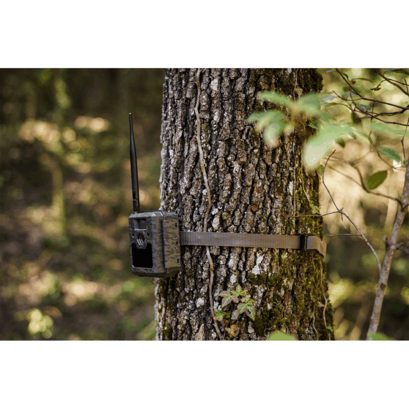 FOTOTRAPPOLA - ICU CLOM CAM5 - 4G/LTE - Batterie e SD incluse - immagine 11