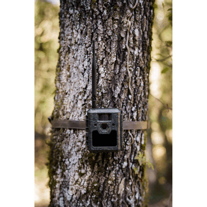 FOTOTRAPPOLA - ICU CLOM CAM5 - 4G/LTE - Batterie e SD incluse - immagine 9